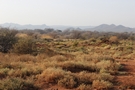 Suedafrika_2 (61a).JPG